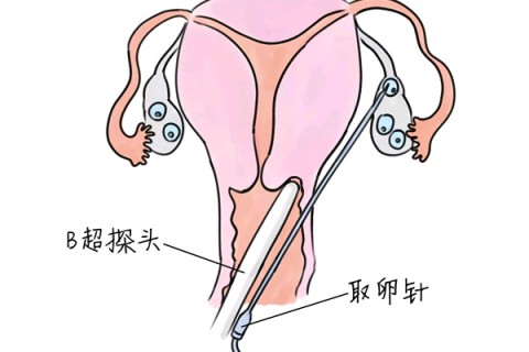 http://zhengzhou.huochezhan.net/post/205.html|郑州供卵助孕