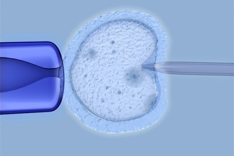 http://zhengzhou.huochezhan.net/post/208.html|郑州捐卵费用