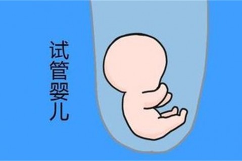 培养郑州捐卵宝宝艺术细胞的小技巧