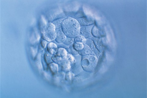 http://zhengzhou.huochezhan.net/post/200.html|郑州新闻中心