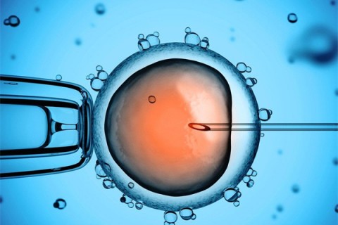 http://zhengzhou.huochezhan.net/post/199.html|郑州供卵助孕